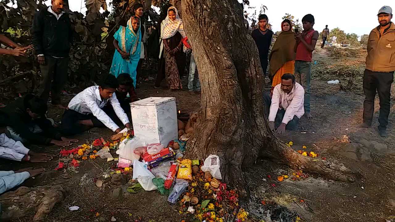 Villagers are worshiping this tree