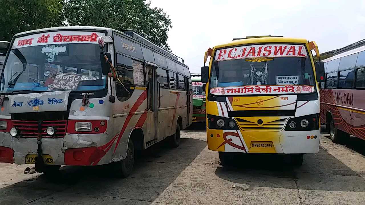 Buses parked at bus stop