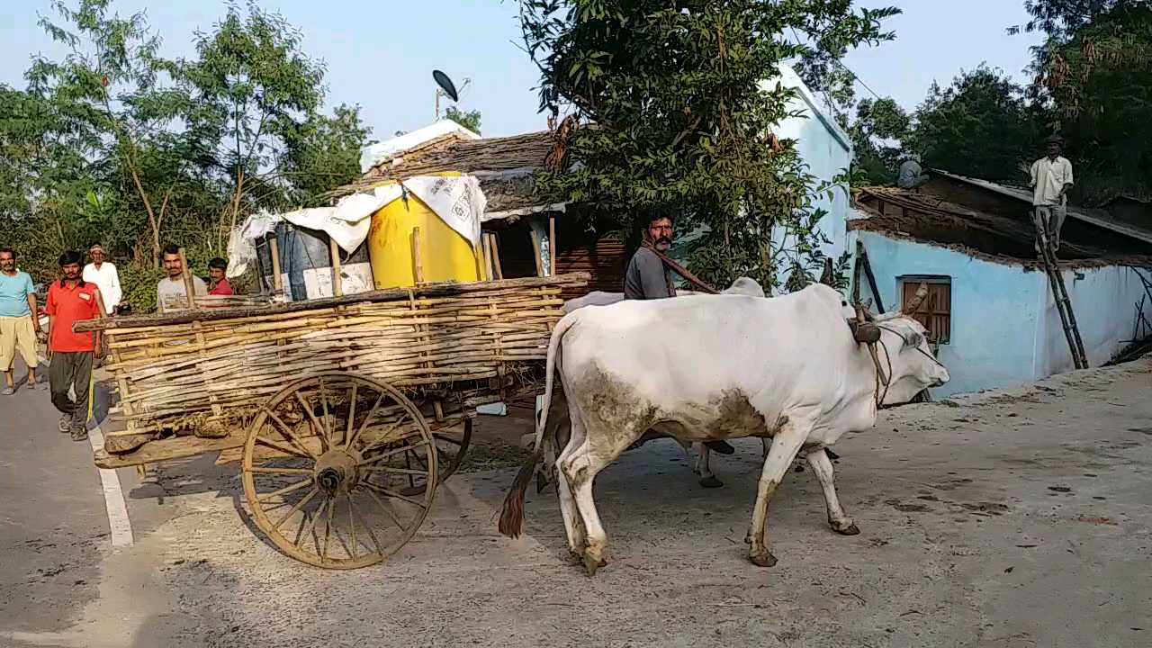 People carry water from bullock carts to the village every day