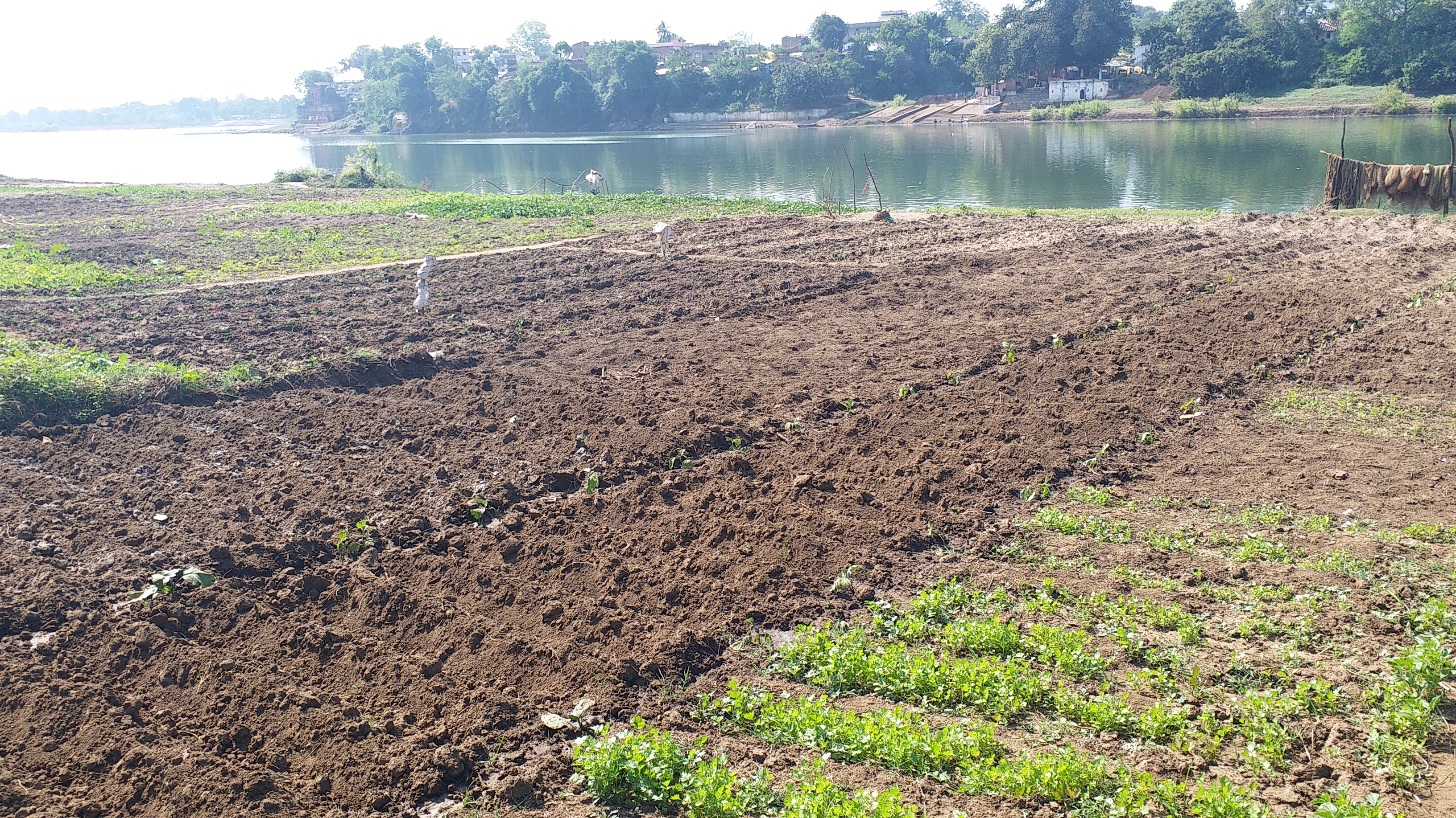 farmers could not grow vegetables this seasons due to flood