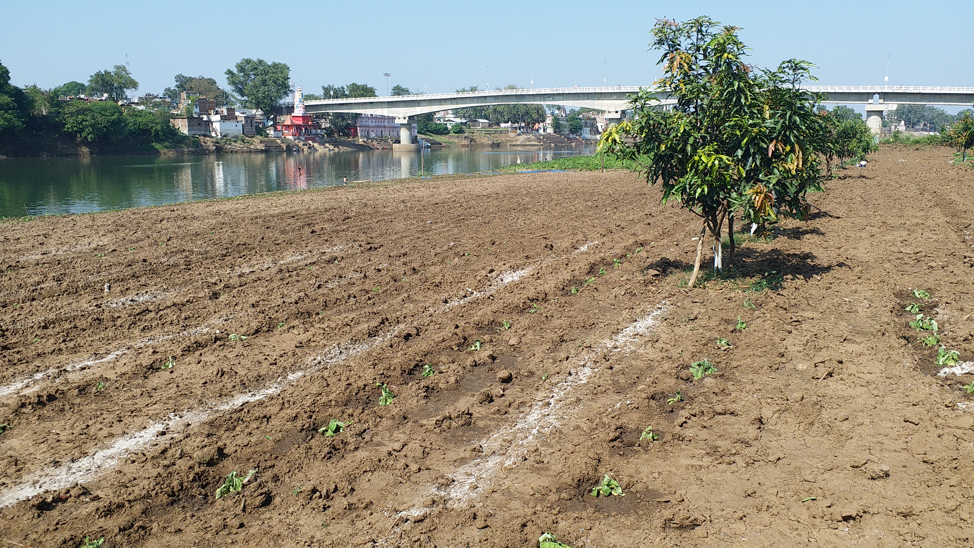 farmers could not grow vegetables this seasons due to flood