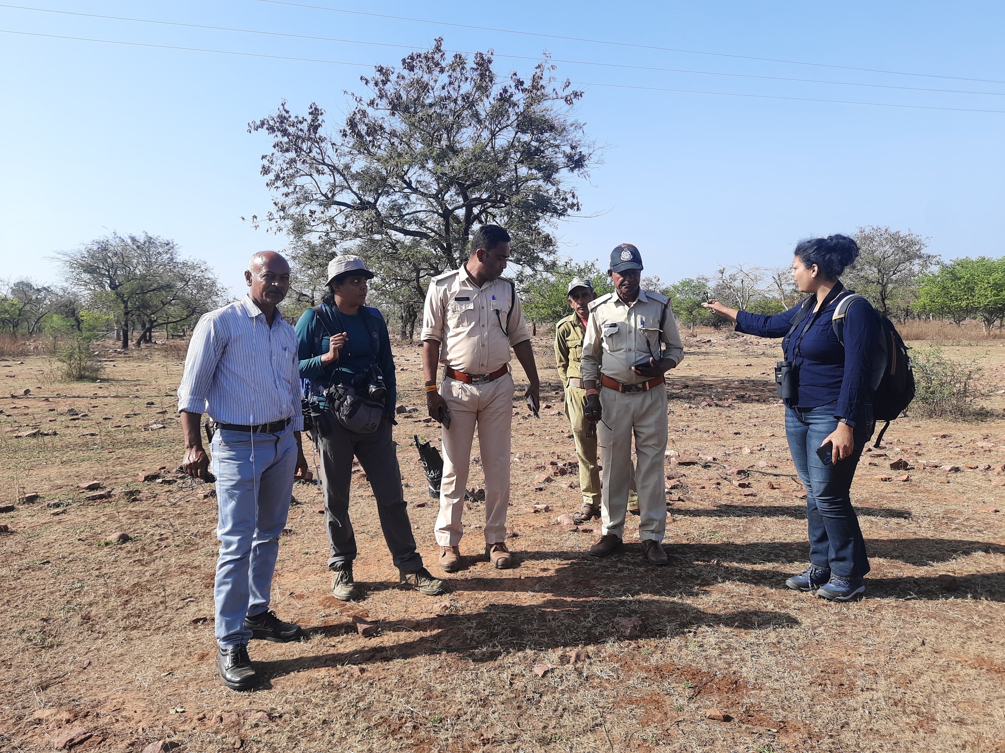 Gandhi Sagar Sanctuary birds Counting of started Mandsaur News