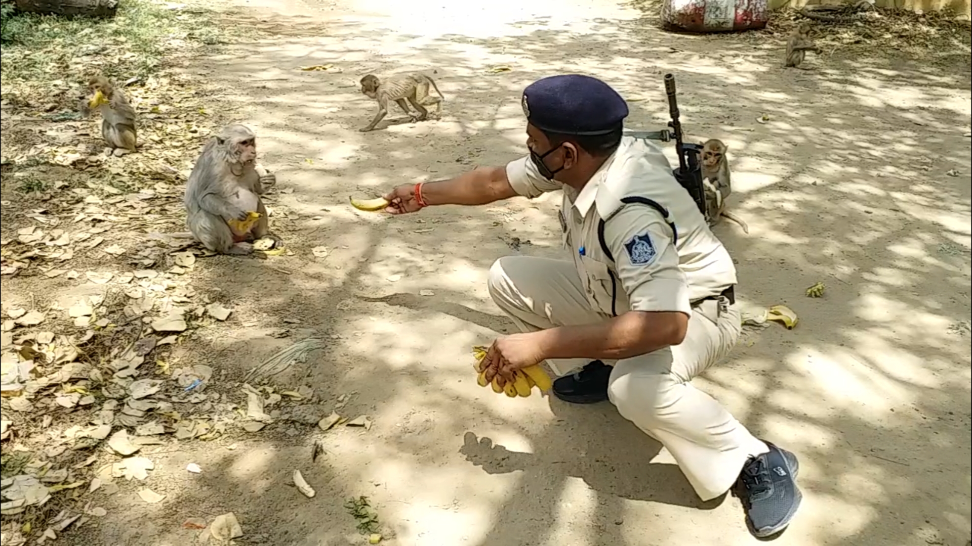 morena-police-feeding-food-to-monkeys