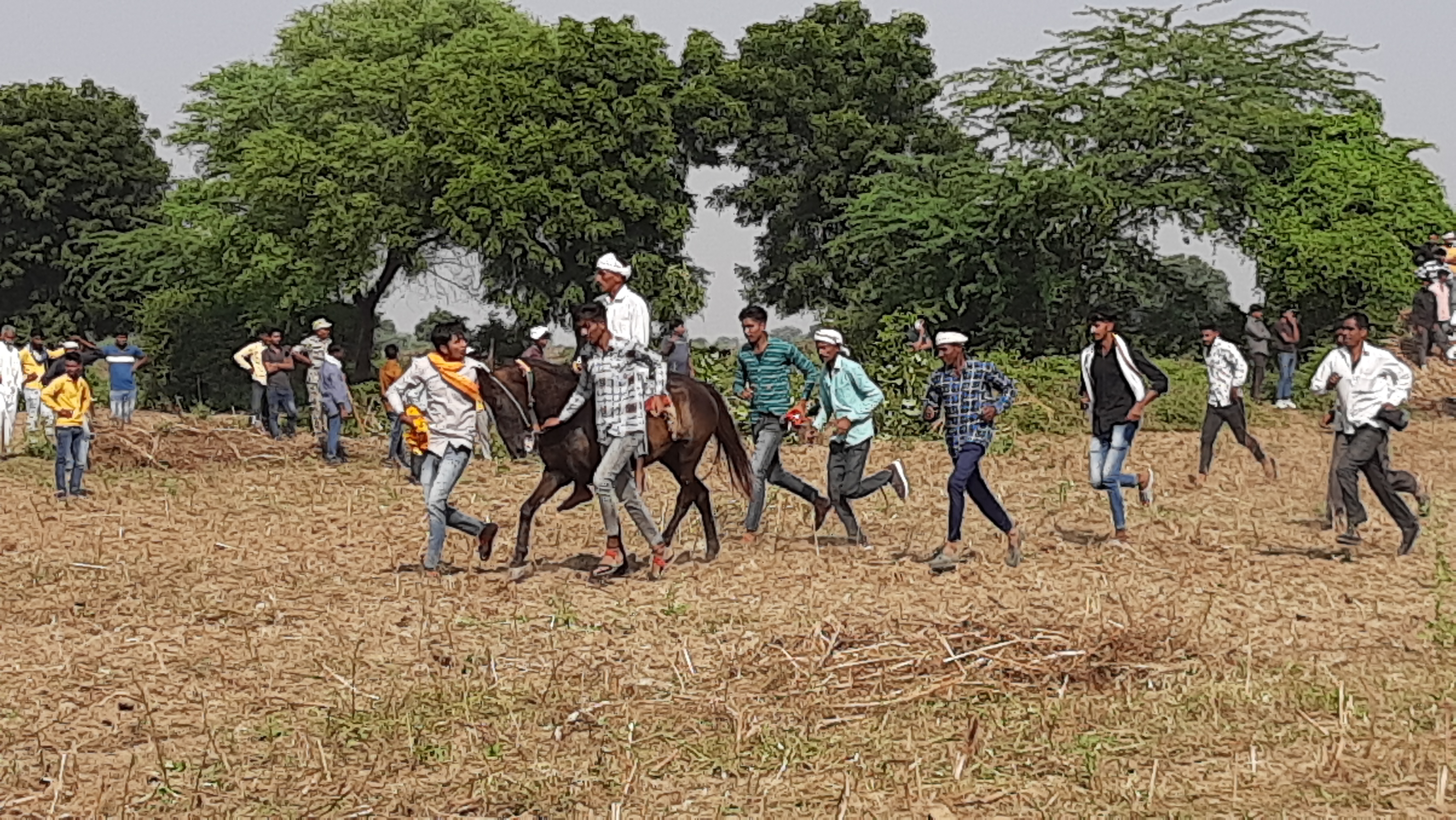 One horse three horses ran in horse racing competition