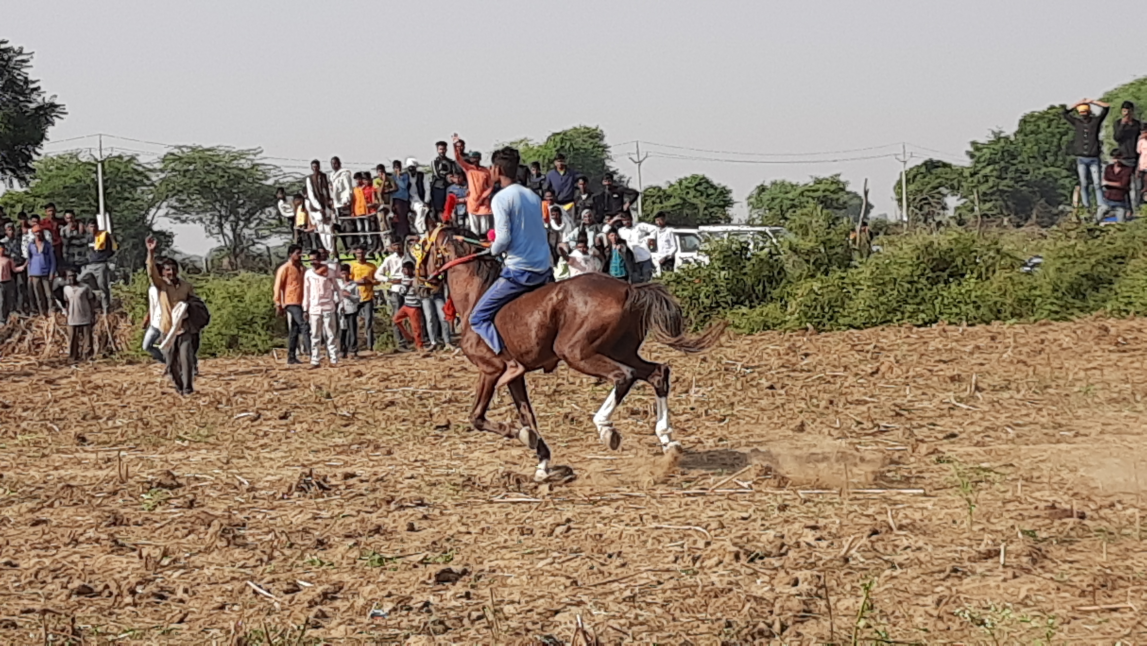 horse racing competition in morena leela mela
