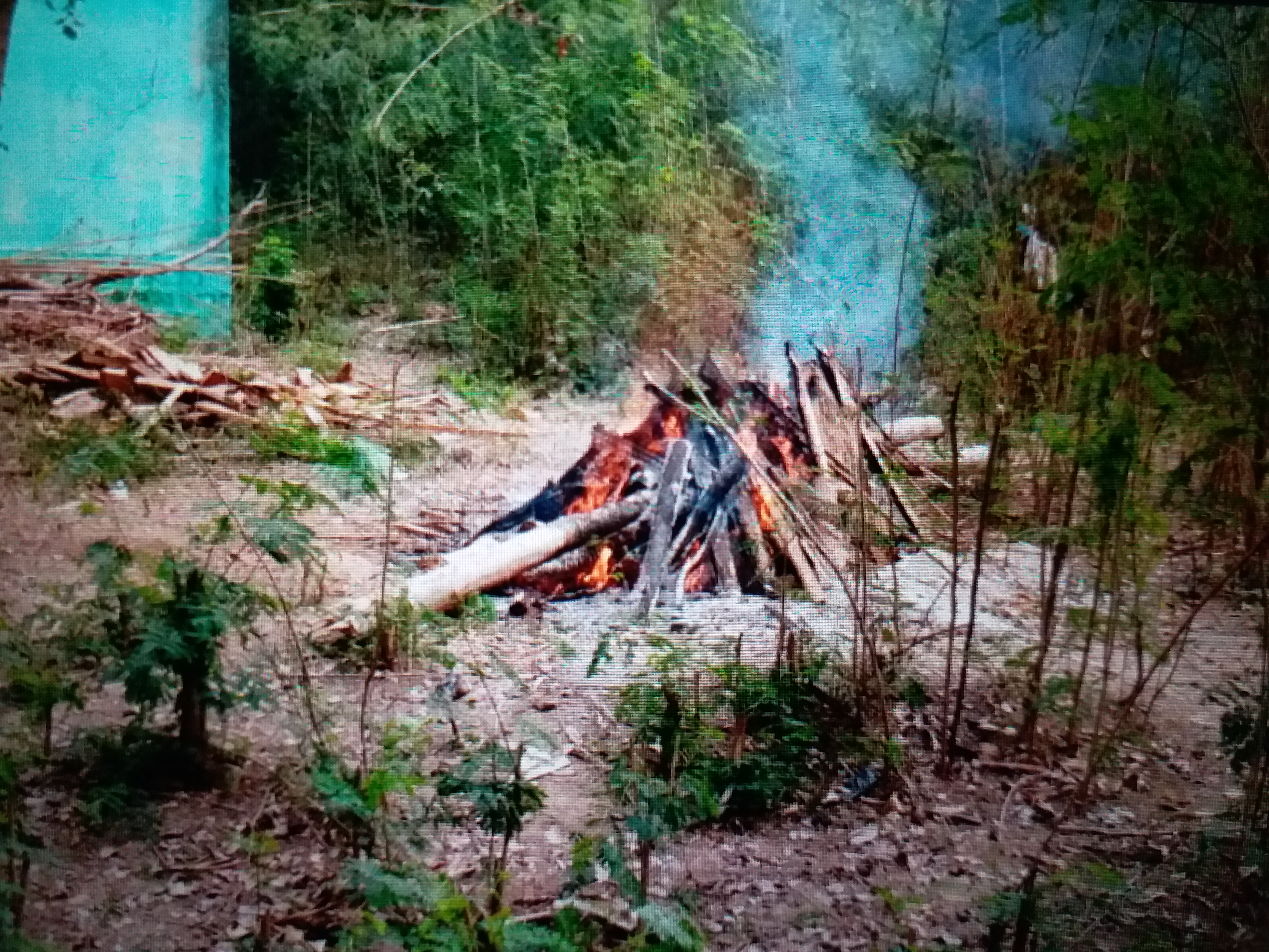 Leopard funeral