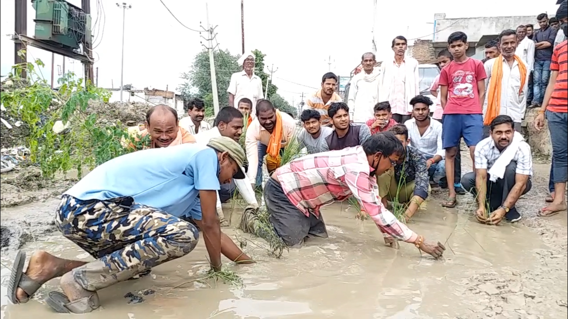 सड़क पर लगाई धान