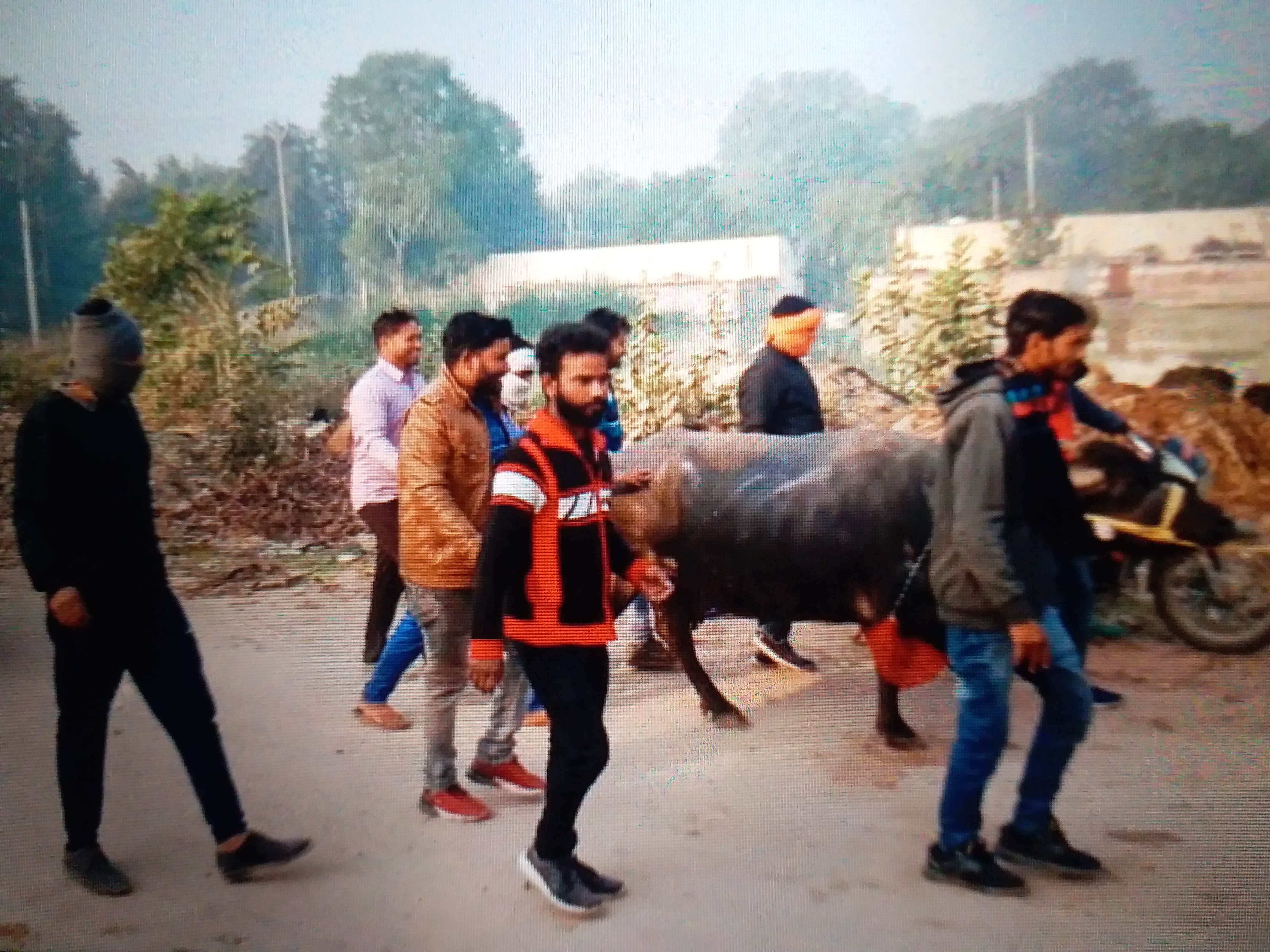 action on cattle ranchers