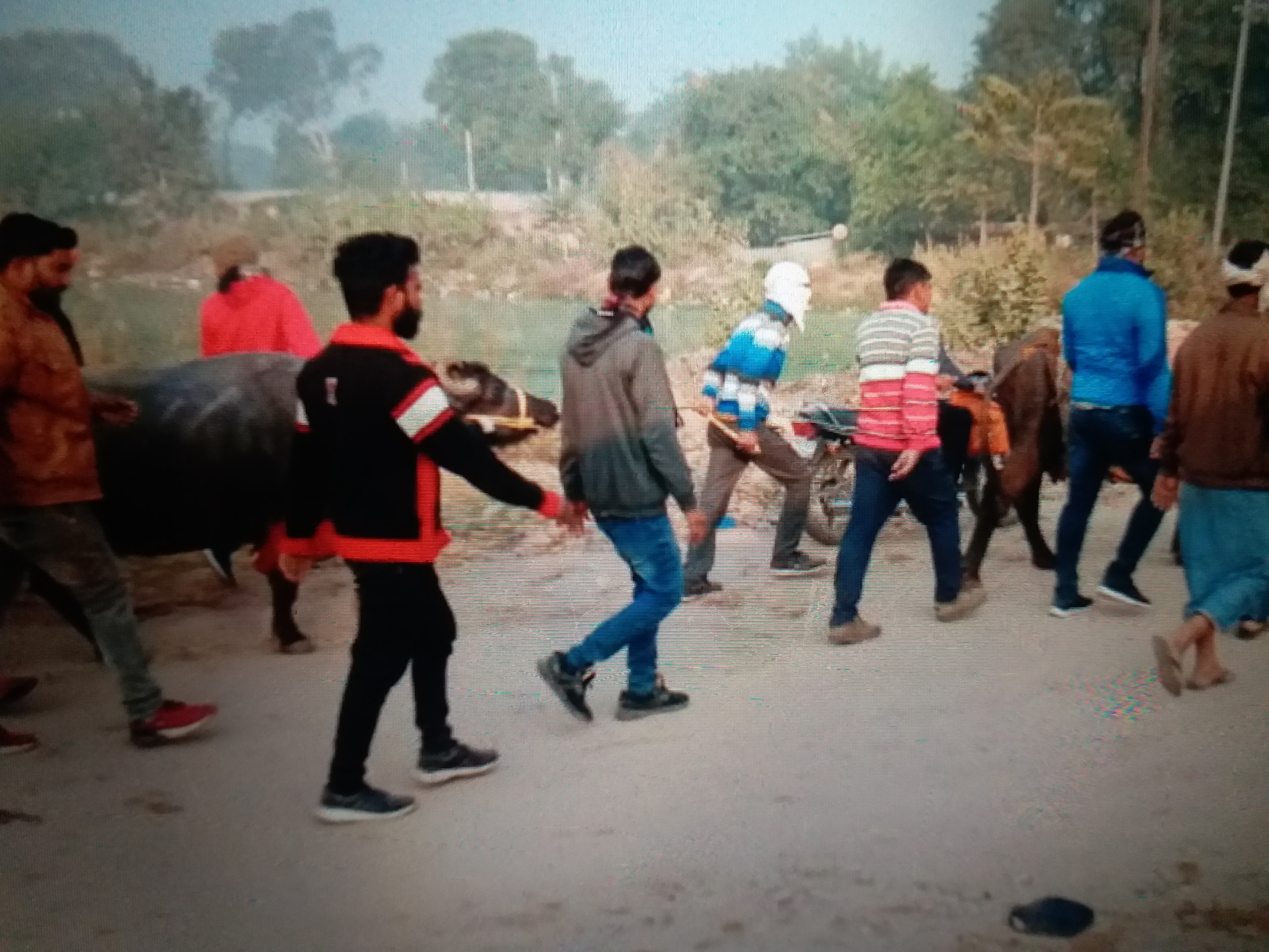 action on cattle ranchers