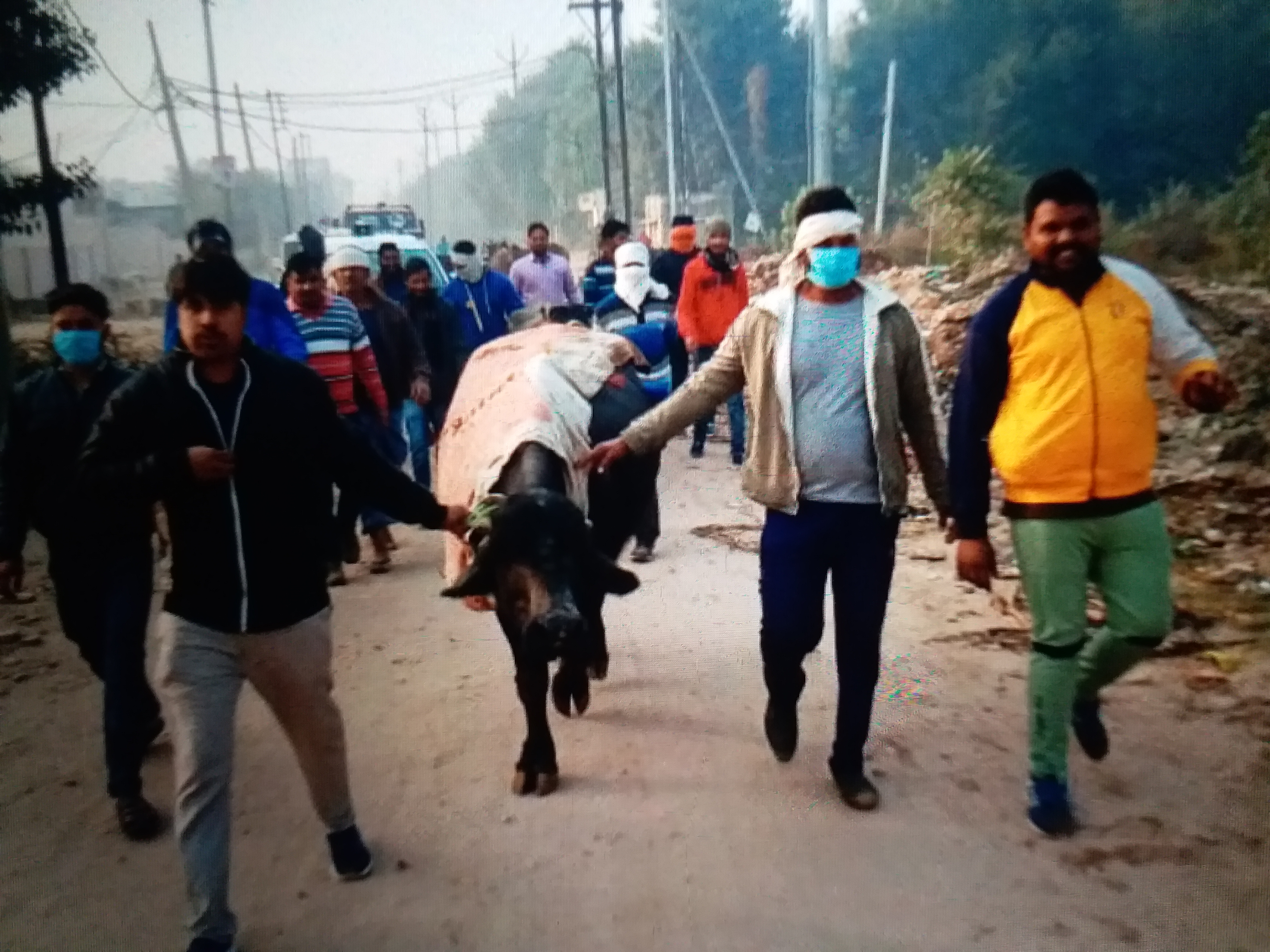 action on cattle ranchers