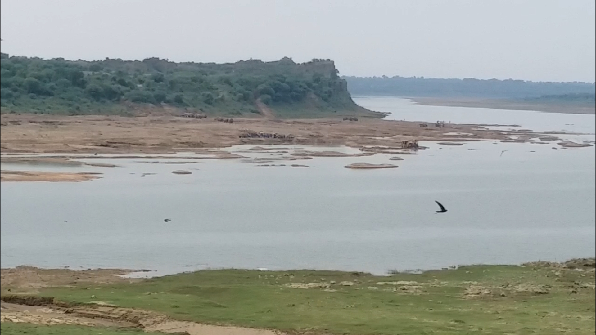 Chambal River