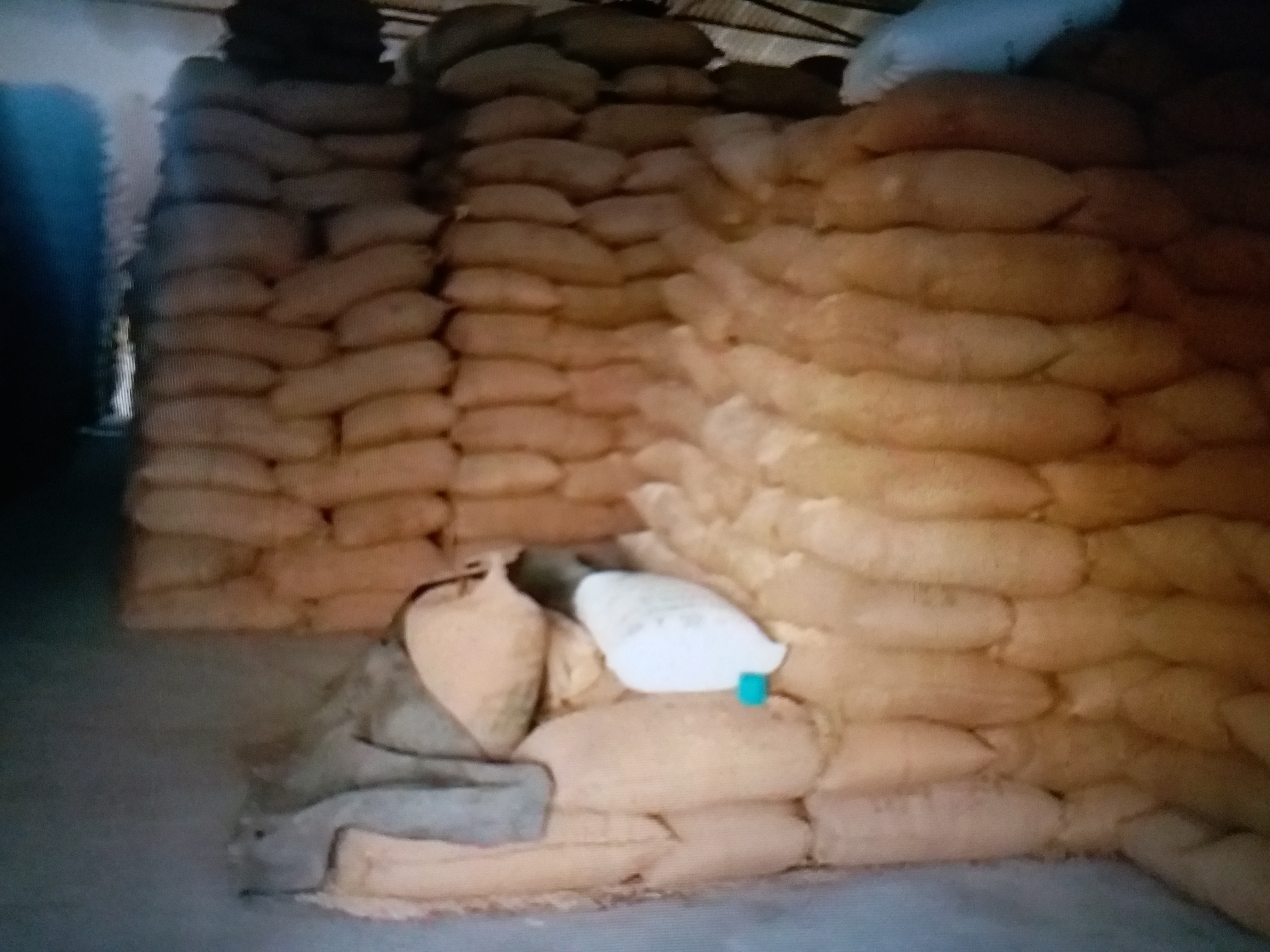 131 wheat sacks stolen from warehouse in morena