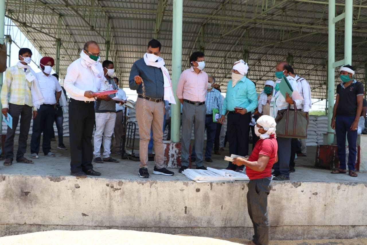 Commissioner's visit to wheat procurement centers in Narsinghpur