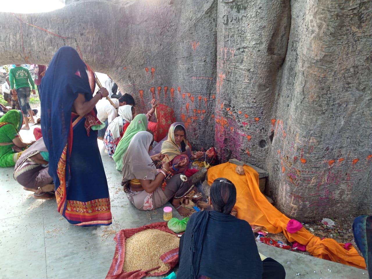 Devotees seeking to sit under the tree