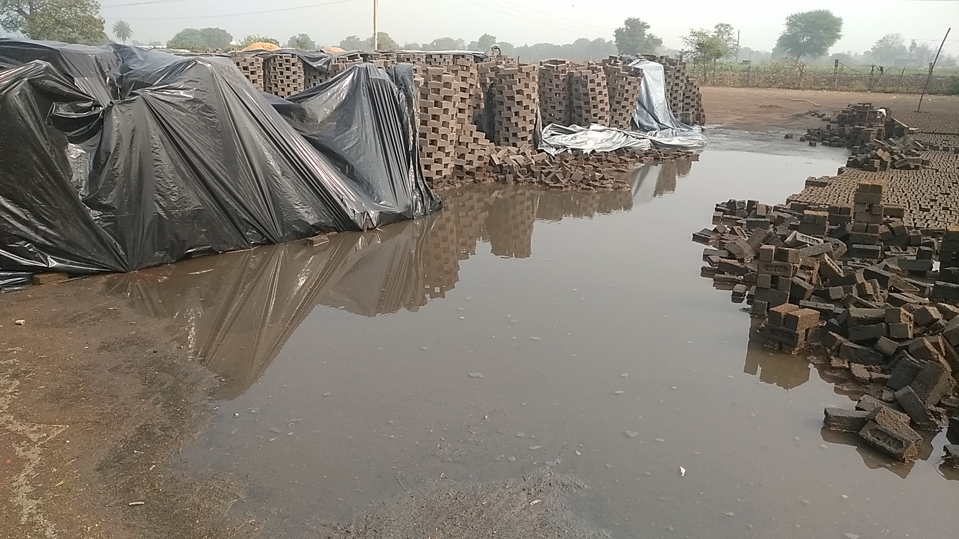 Millions of farmers lost due to rain in Neemuch