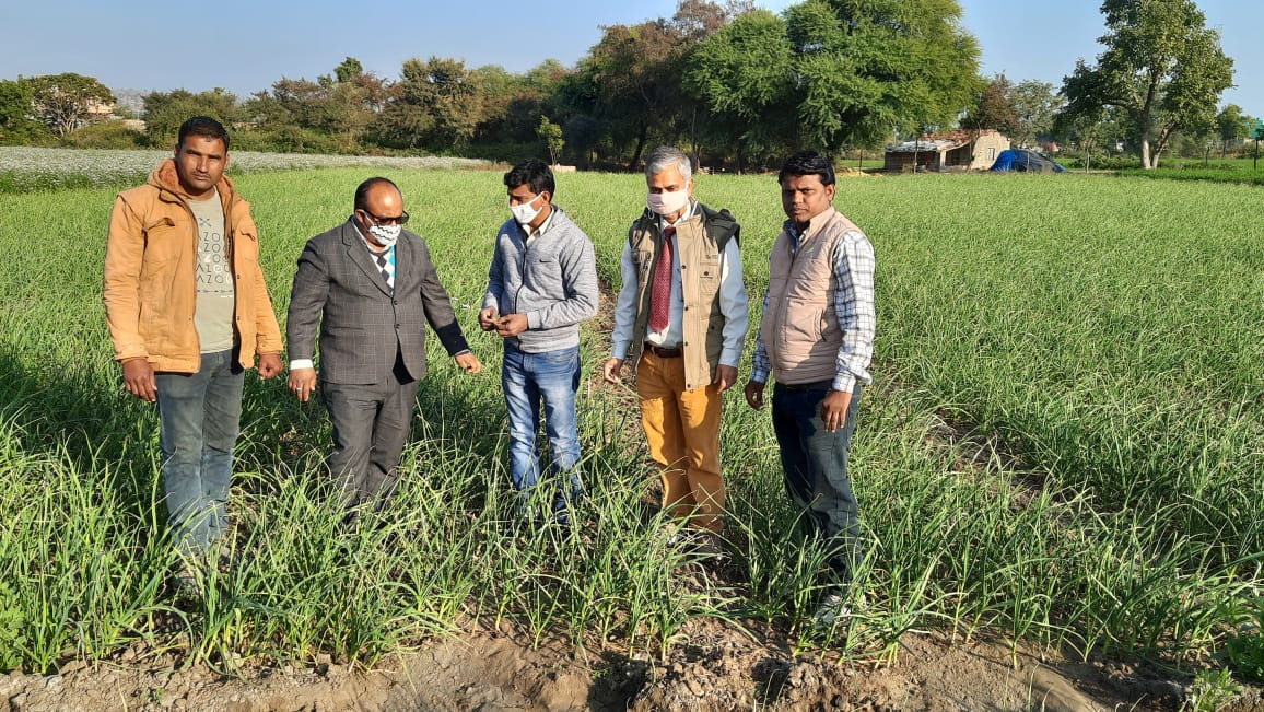 Scientists taking stock of crops