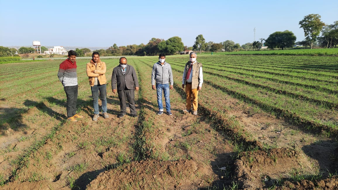 Officers observing crops in the field