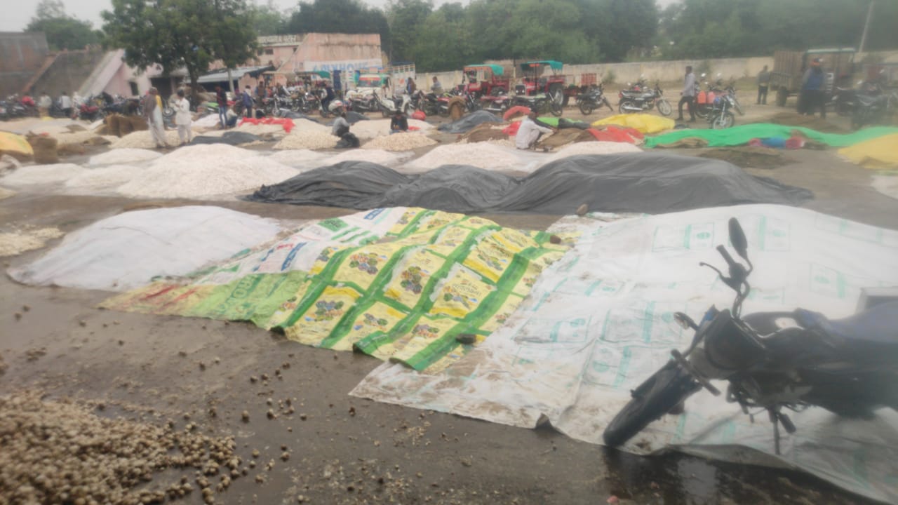 farmers-crop-kept-in-manasa-agricultural-produce-market-drenched-in-rain