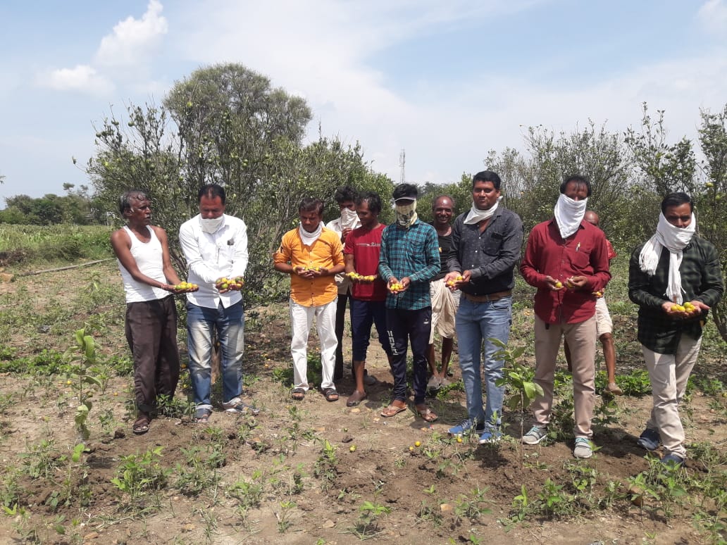 loss in crops due to hailstrom