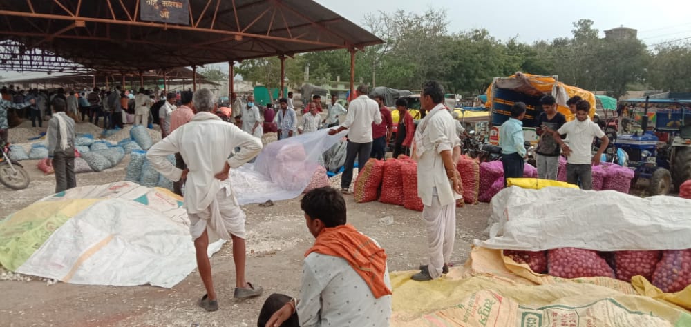 Manasa Agricultural Produce Market