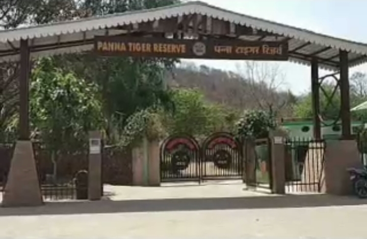 Panna Tiger Reserve