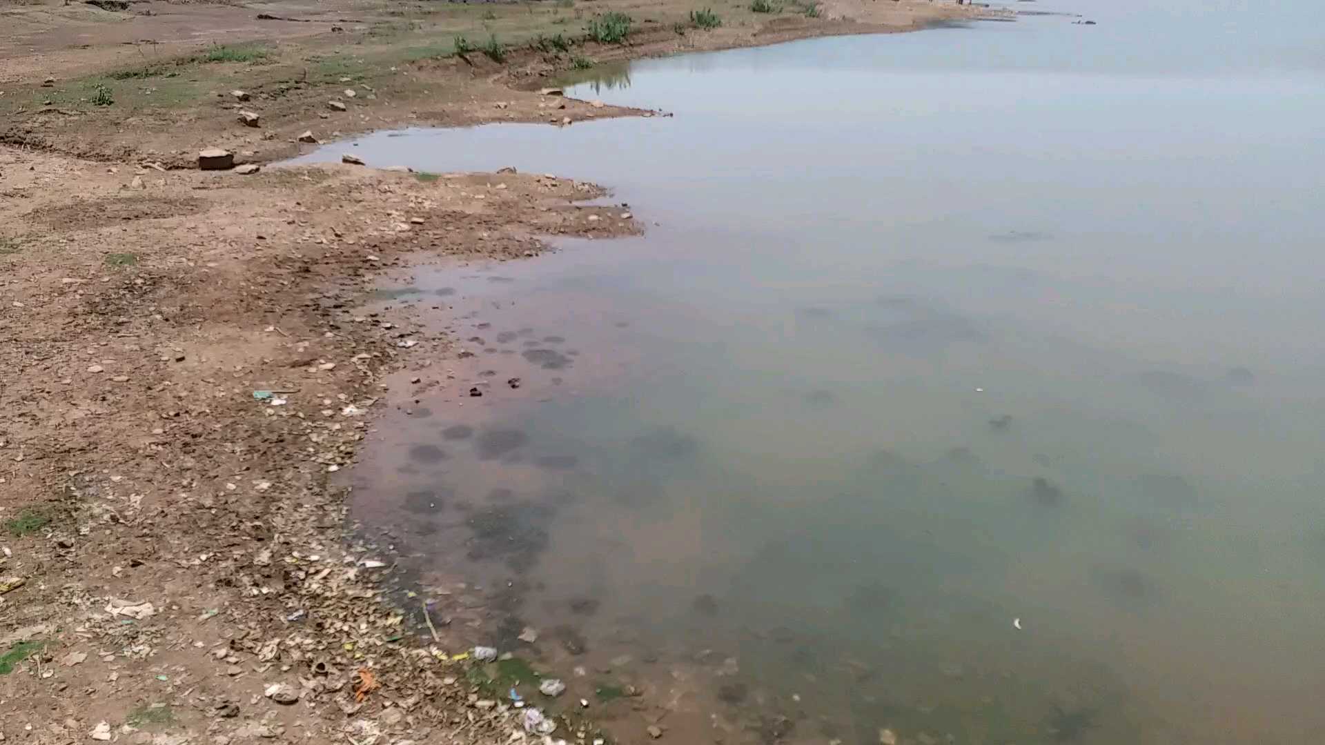 dirty water in dharamsagar pond