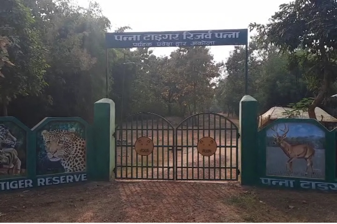 panna tigar reserve