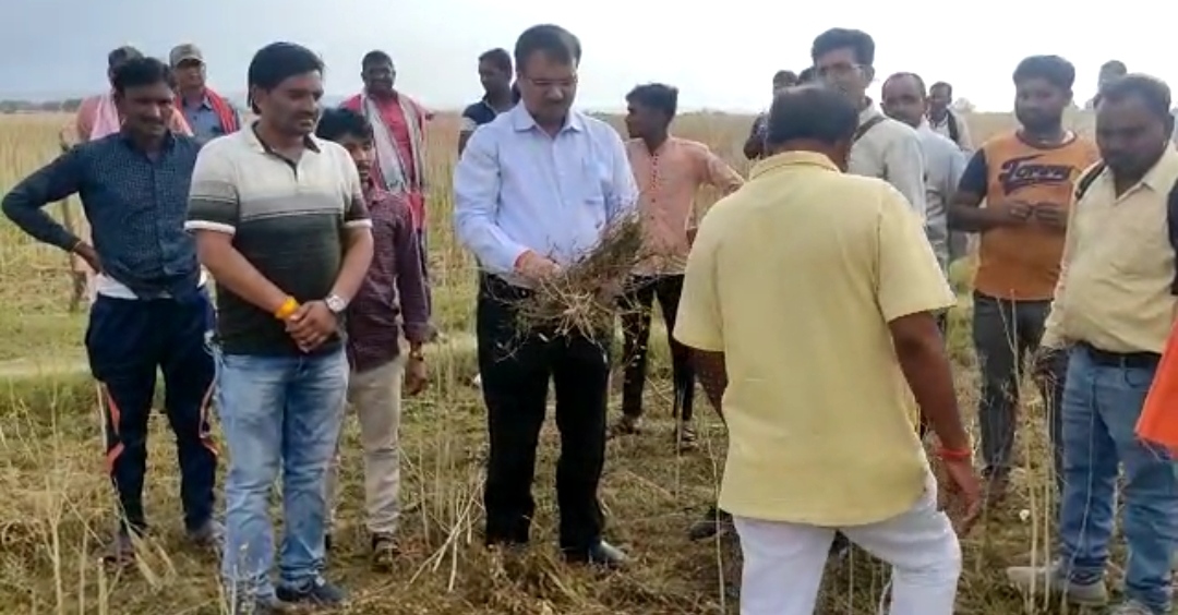 hailstorm affected fields