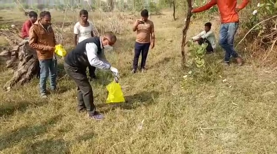 Experts examining the birds