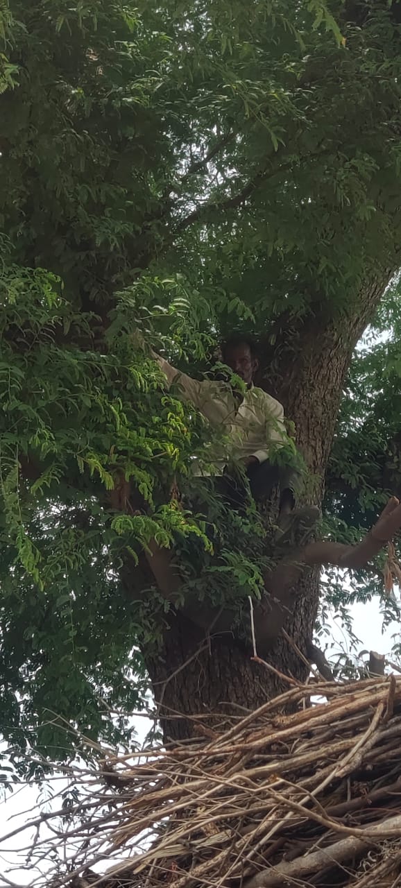 MP: Fearing corona vaccination in Rajgarh man climbed on tree with his wife Aadhar card