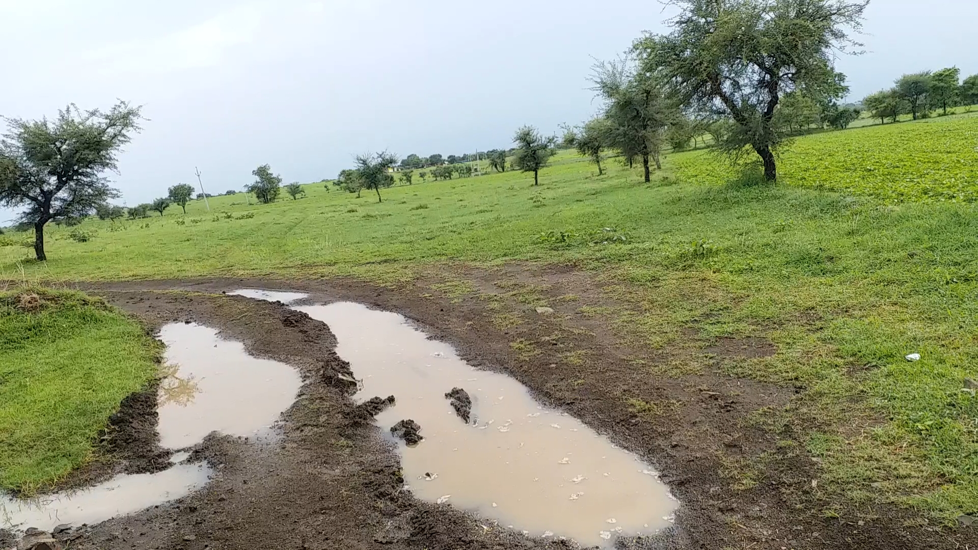 Kashi Khedi East Villagers have been struggling for the road