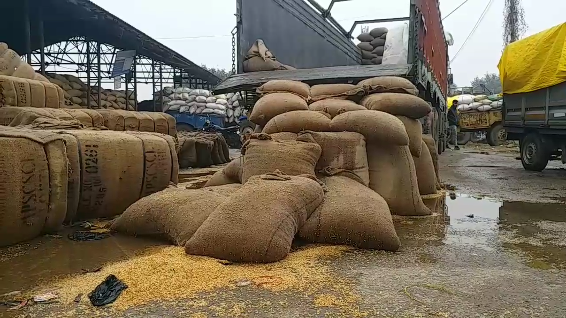 paddy maize onion destroyed due to heavy rain without season in mp