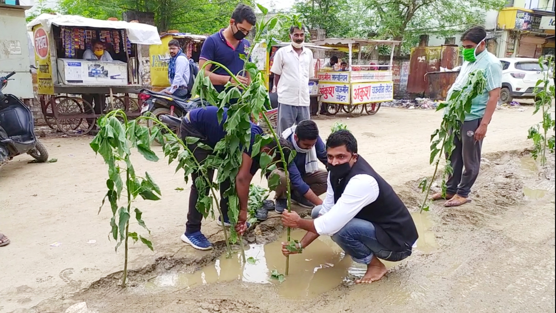 congressmen-planted-a-besharam-tree-in-sewer-lines-dug-by-rewa-municipal-corporation