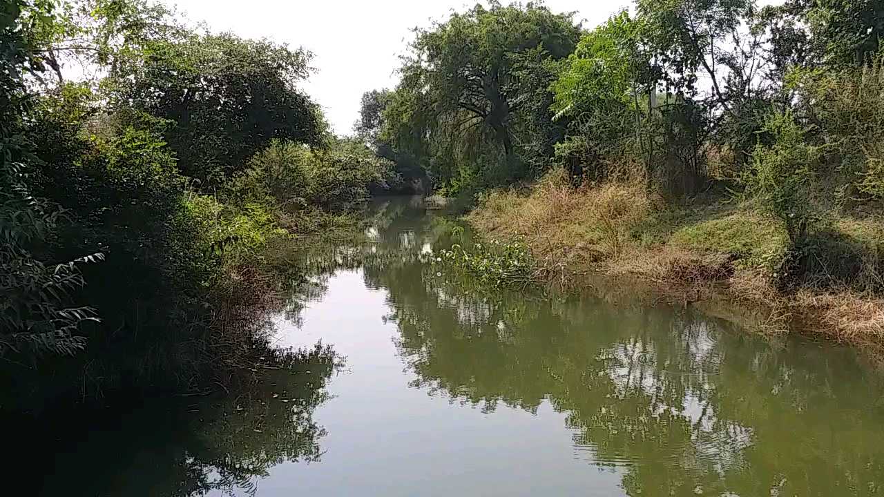 Farm pond