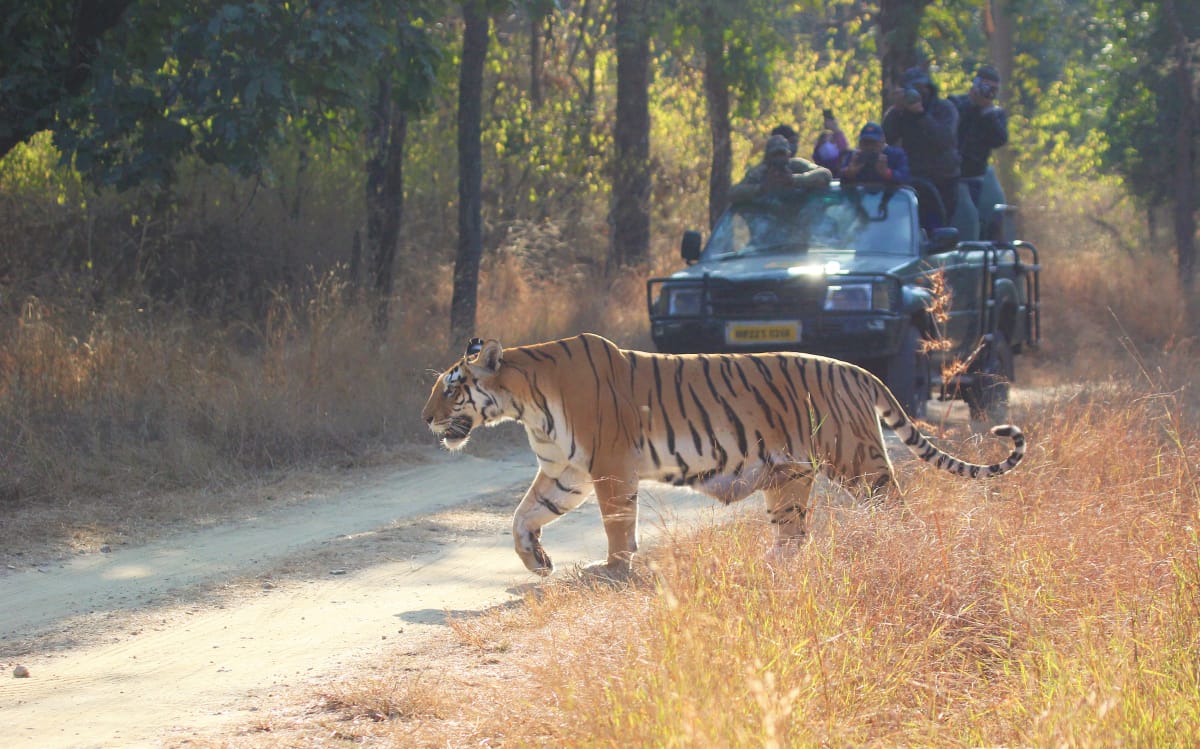 pench park