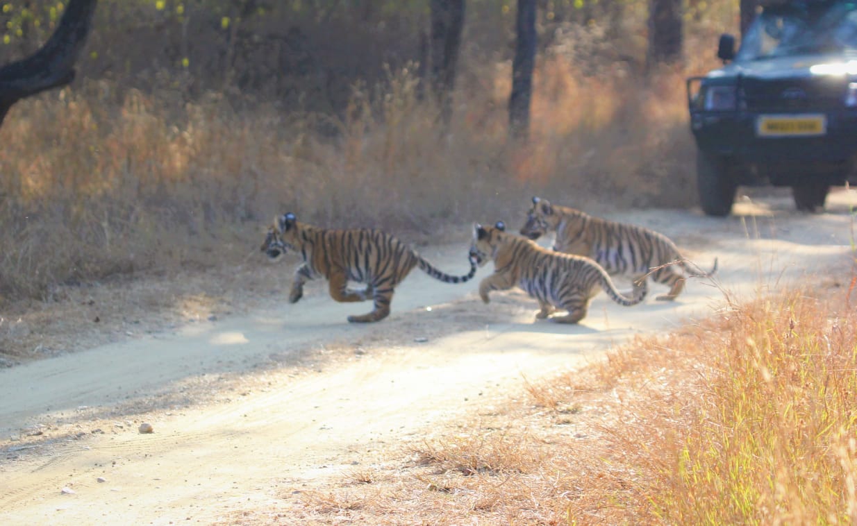 pench park