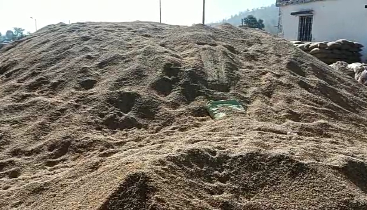 MP Sagar mixing straw instead of paddy in sacks