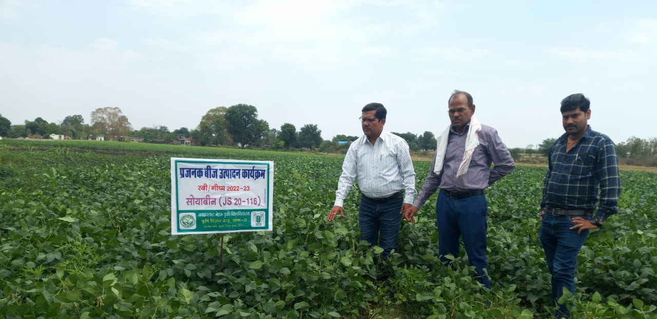 Breeder Seed Production Program