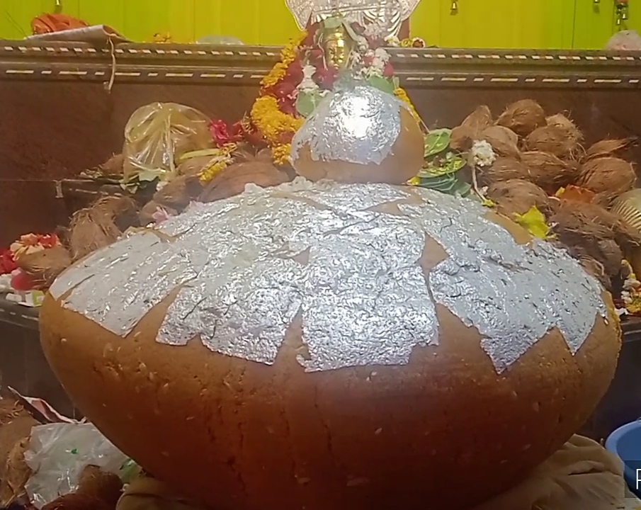 ladoos bhog in Hanuman ji in Sagar