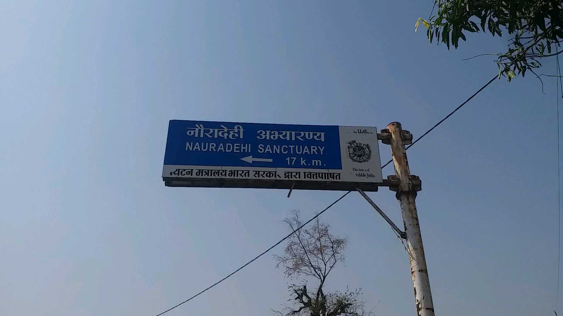 elevated corridor in Nauradehi sanctuary