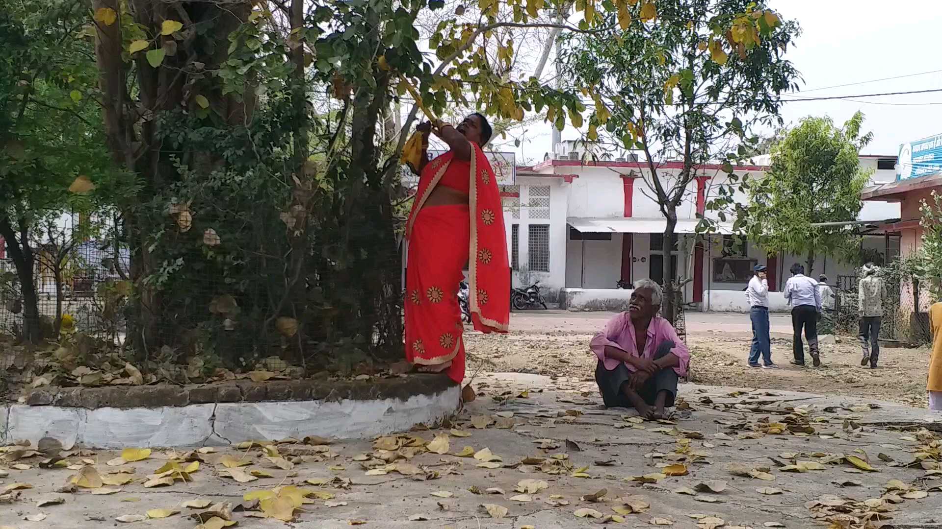 sagar collectorate premises