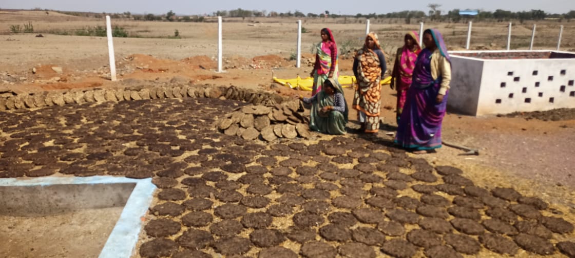 women prepared cow wood and wood