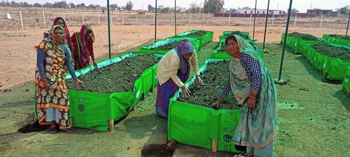 women prepared cow wood and wood