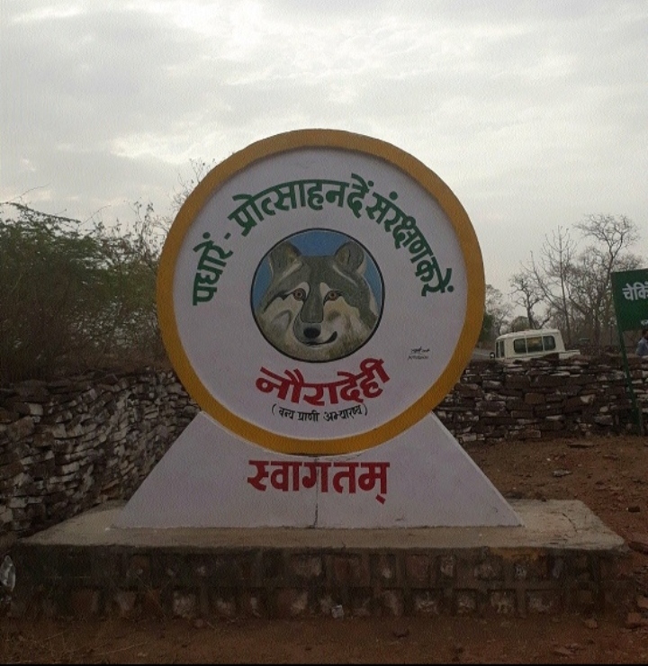 nauradehi wildlife sanctuary