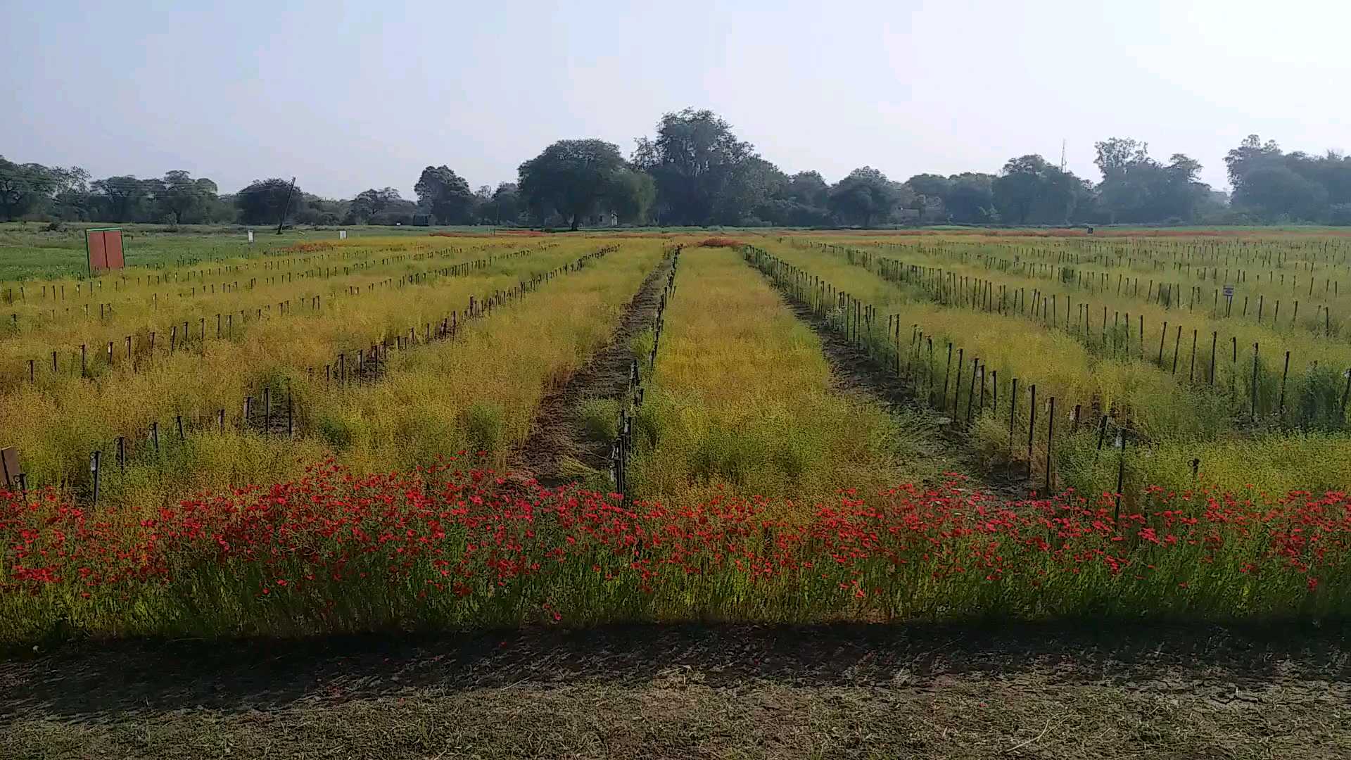 Agricultural Research Center Sagar