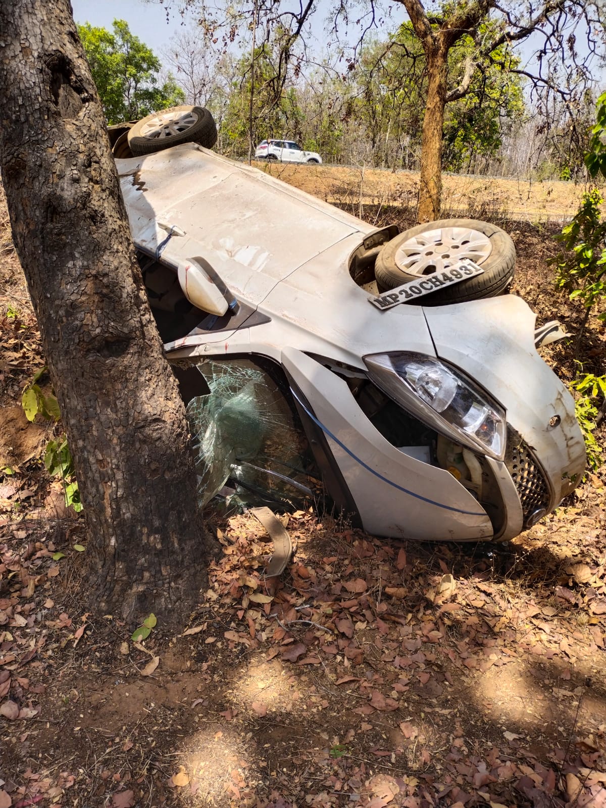 car accident in umaria