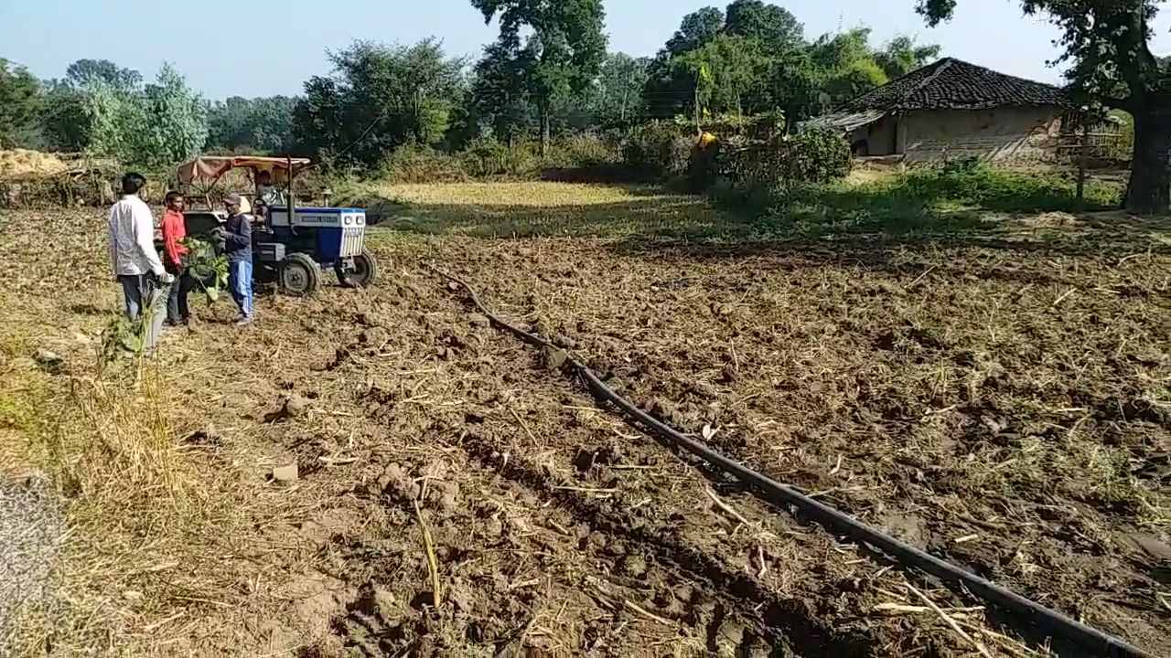 shahdol preparation for rabi season