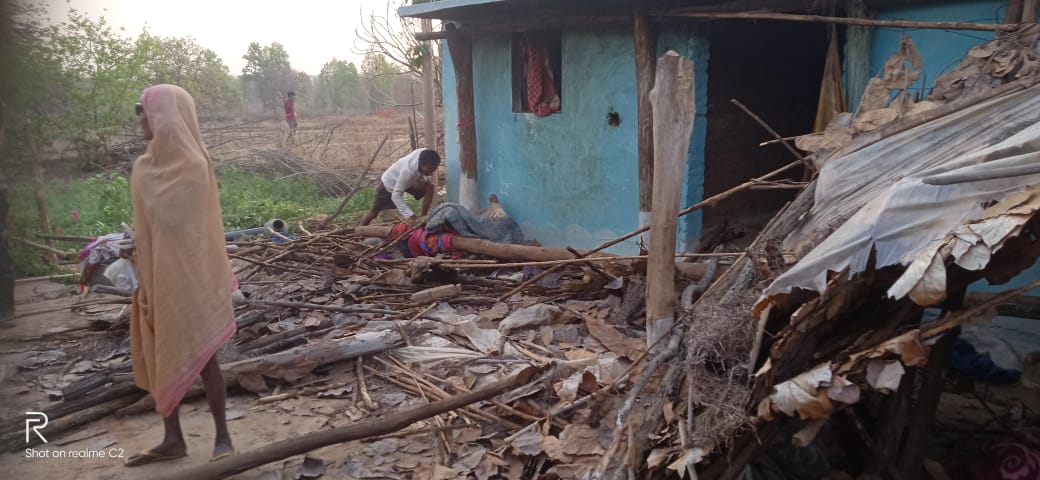 shahdol kutcha houses trampled by elephant