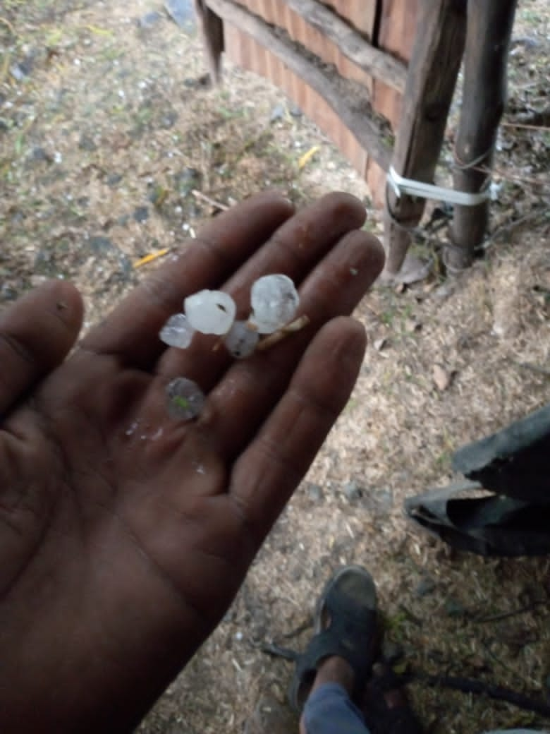 Rain in shajapur