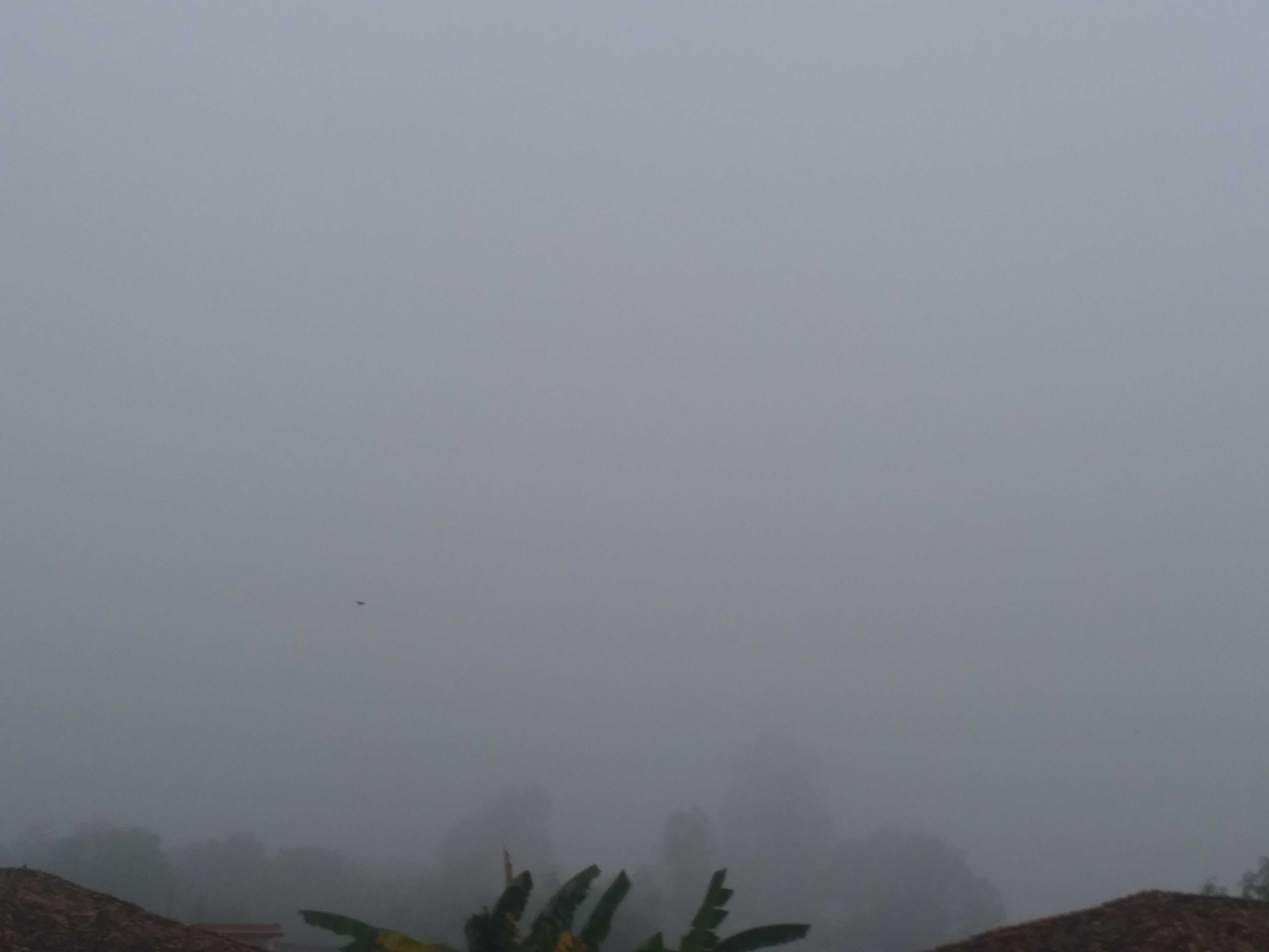 Fog in Shahdol district